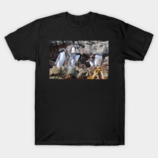 Snares Crested Penguins T-Shirt